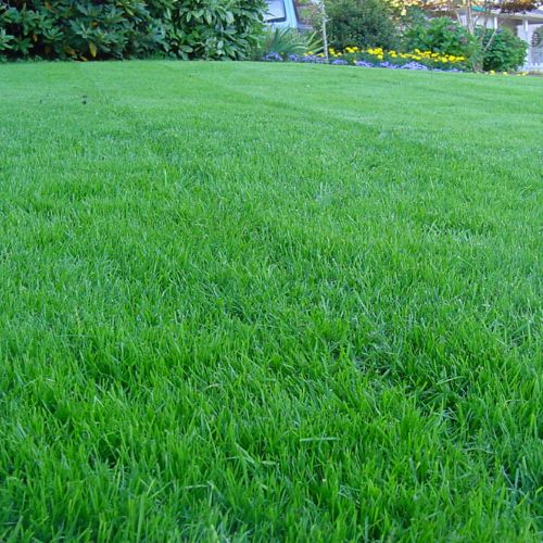 lawn care big river lawn and landscape